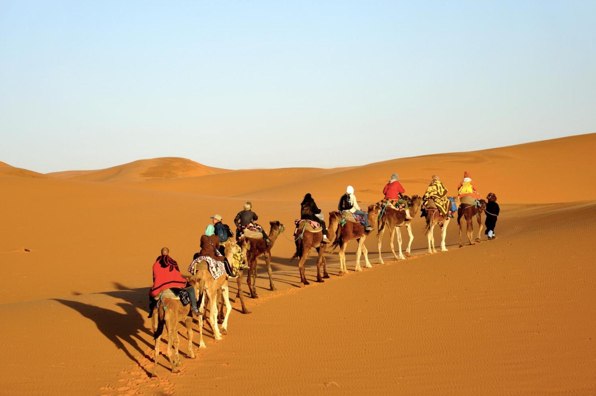 Sahara Camel Tours Camp Hotel Merzouga Ngoại thất bức ảnh