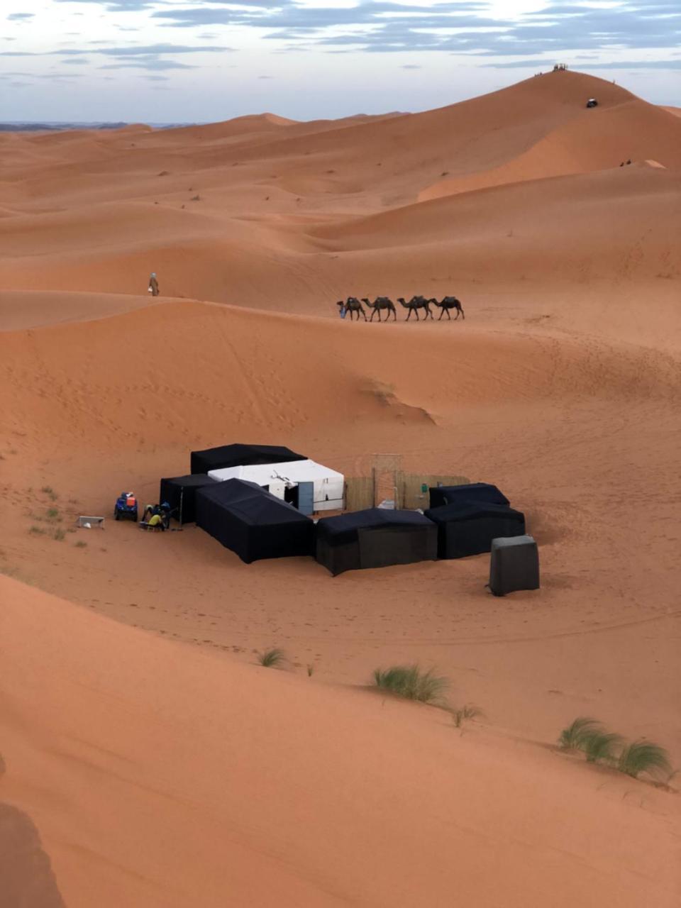Sahara Camel Tours Camp Hotel Merzouga Ngoại thất bức ảnh