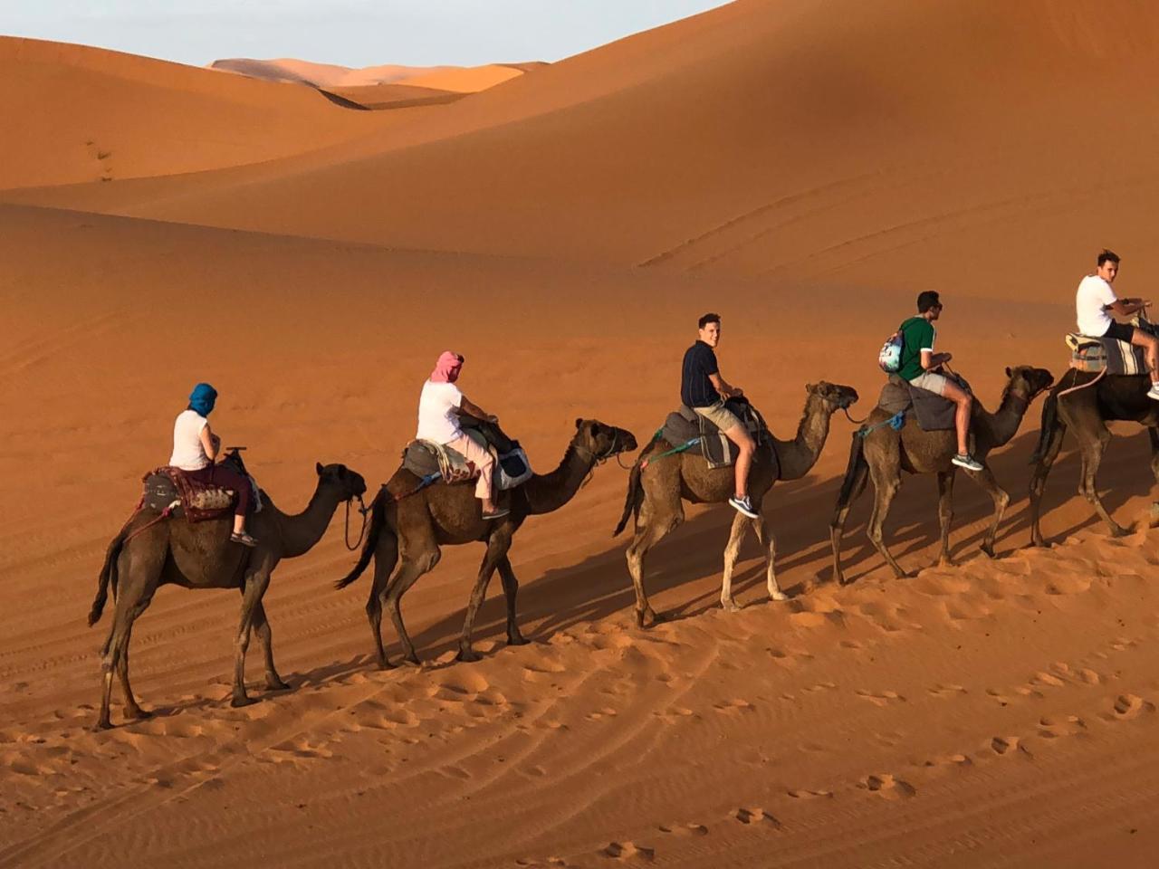 Sahara Camel Tours Camp Hotel Merzouga Ngoại thất bức ảnh